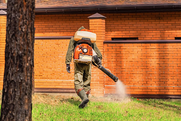 Trusted Rodent Control service in Catlettsburg, KY - Nex Pest Control